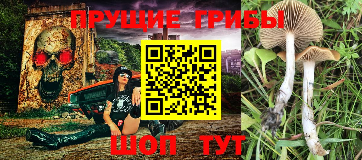 Псилоцибиновые грибы ЛСД Среднеуральск