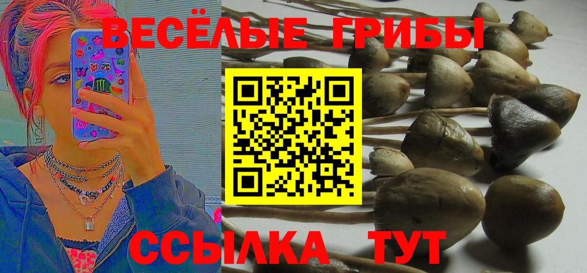 Галлюциногенные грибы MAGIC MUSHROOMS  как найти закладки  Среднеуральск  Вход с VPN  Псилоцибиновые грибы Magic Shrooms 